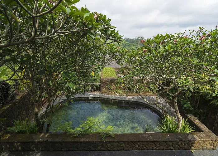 Awan Putih Ubud Payangan