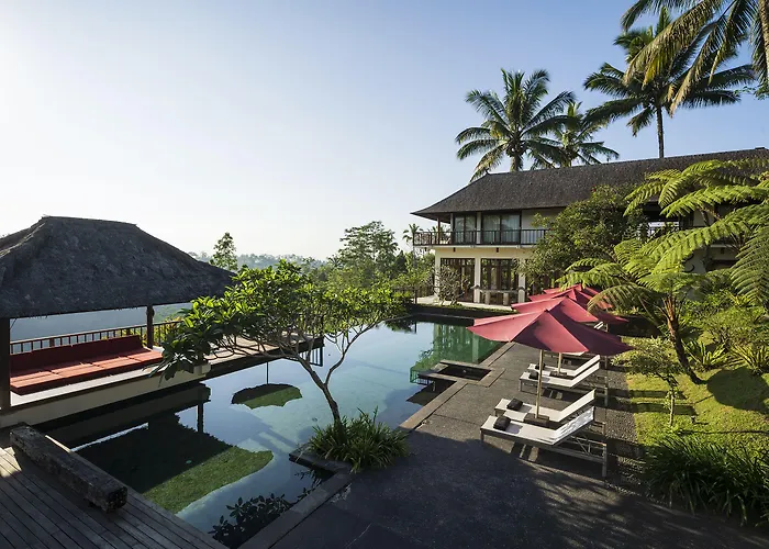Awan Putih Ubud Payangan