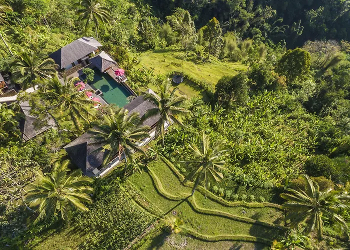 Awan Putih Ubud