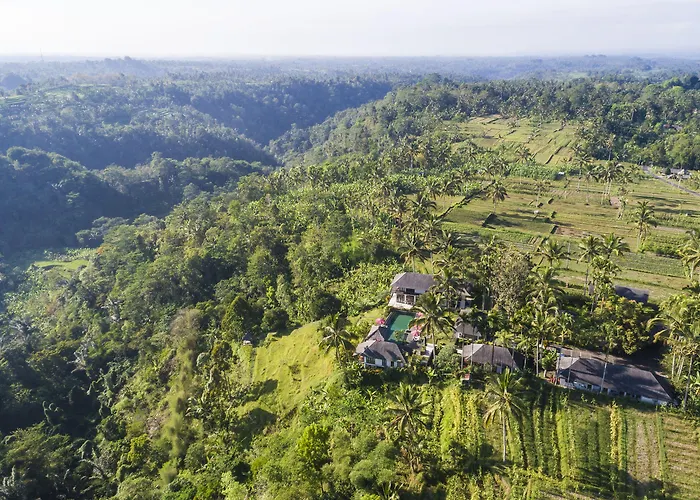 リゾート Awan Putih Ubud パヤンガン